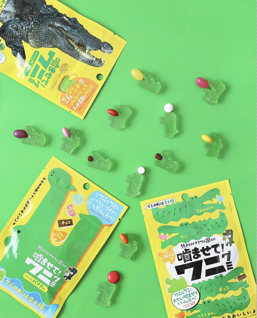 ワニグミ イメージ